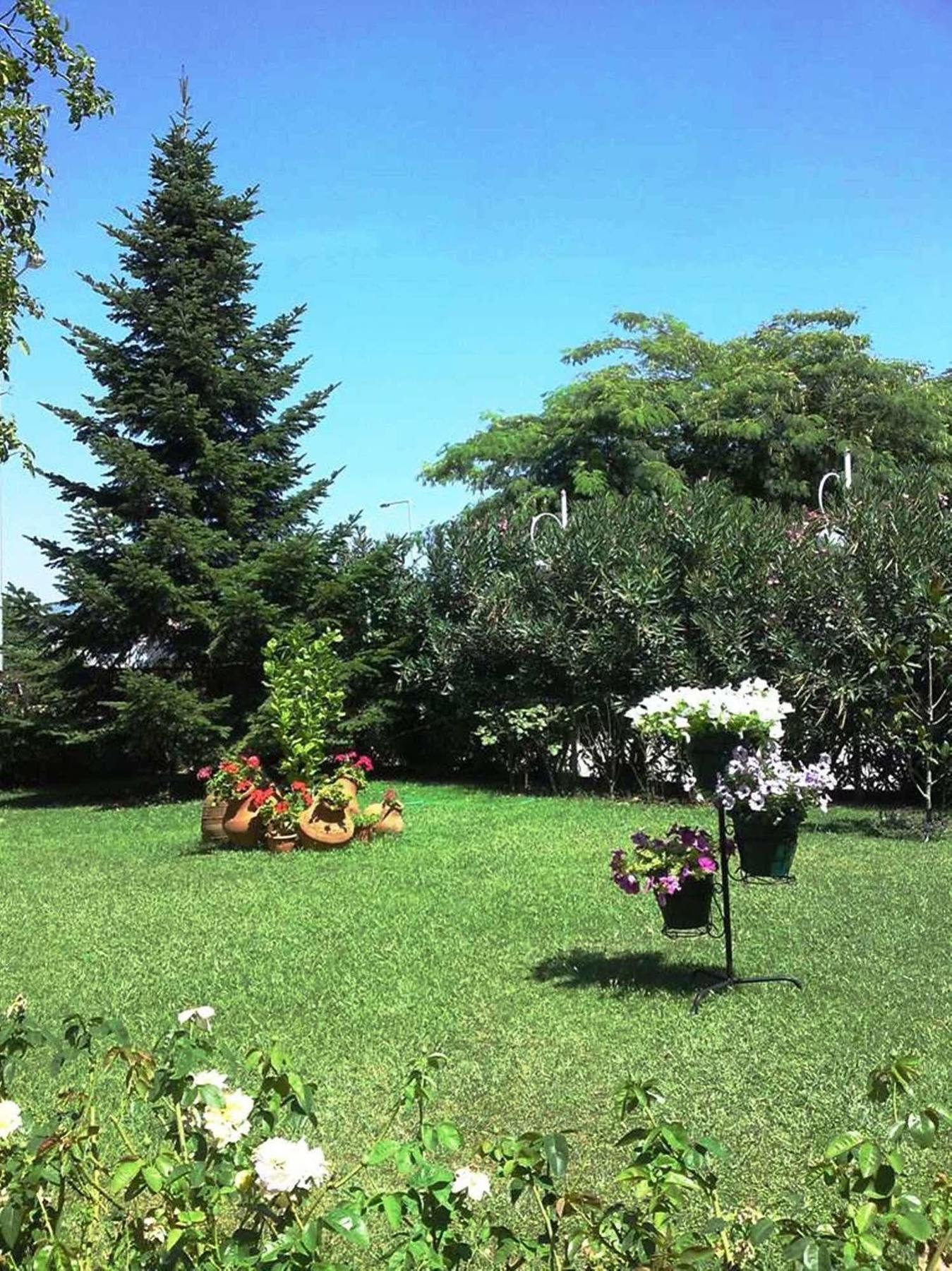 Rodopi Hotel Komotini Zewnętrze zdjęcie